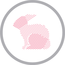 11130274_1585873651654862_7109503000980388764_n