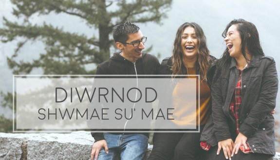 DIWRNOD-SHWMAE-SUMAE-TITLE-PIC.jpg