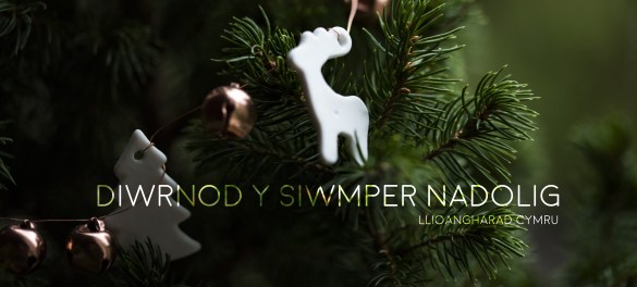 DIWRNOD-Y-SIWMPER-NADOLIG-TITLE.jpg